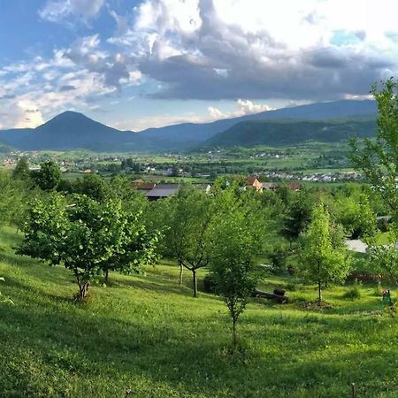 Nektar Park Villa Sara Bihac Luaran gambar