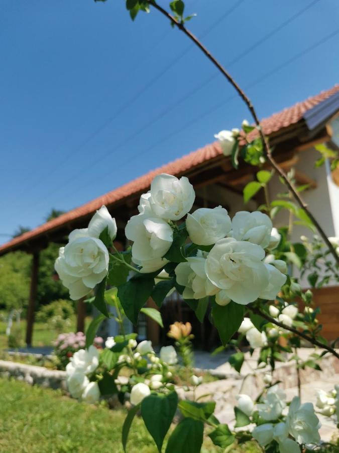 Nektar Park Villa Sara Bihac Luaran gambar