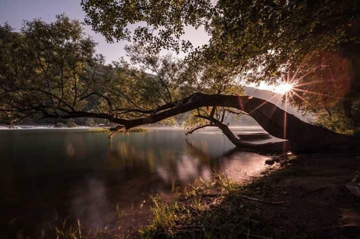 Nektar Park Villa Sara Bihac Luaran gambar