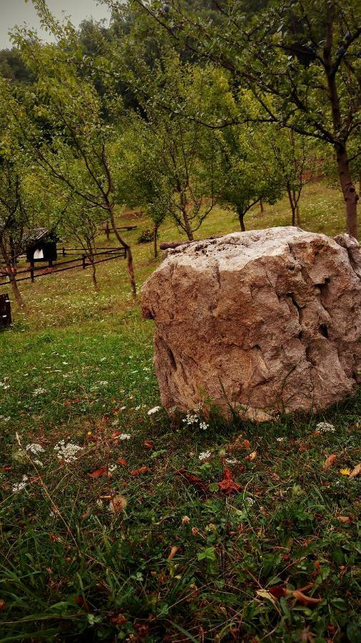 Nektar Park Villa Sara Bihac Luaran gambar